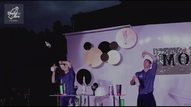 Shake_Bro_Performance