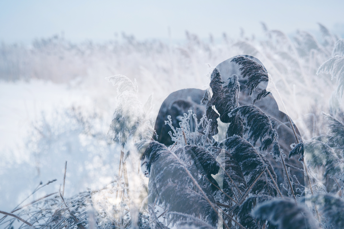 Winter Love Story