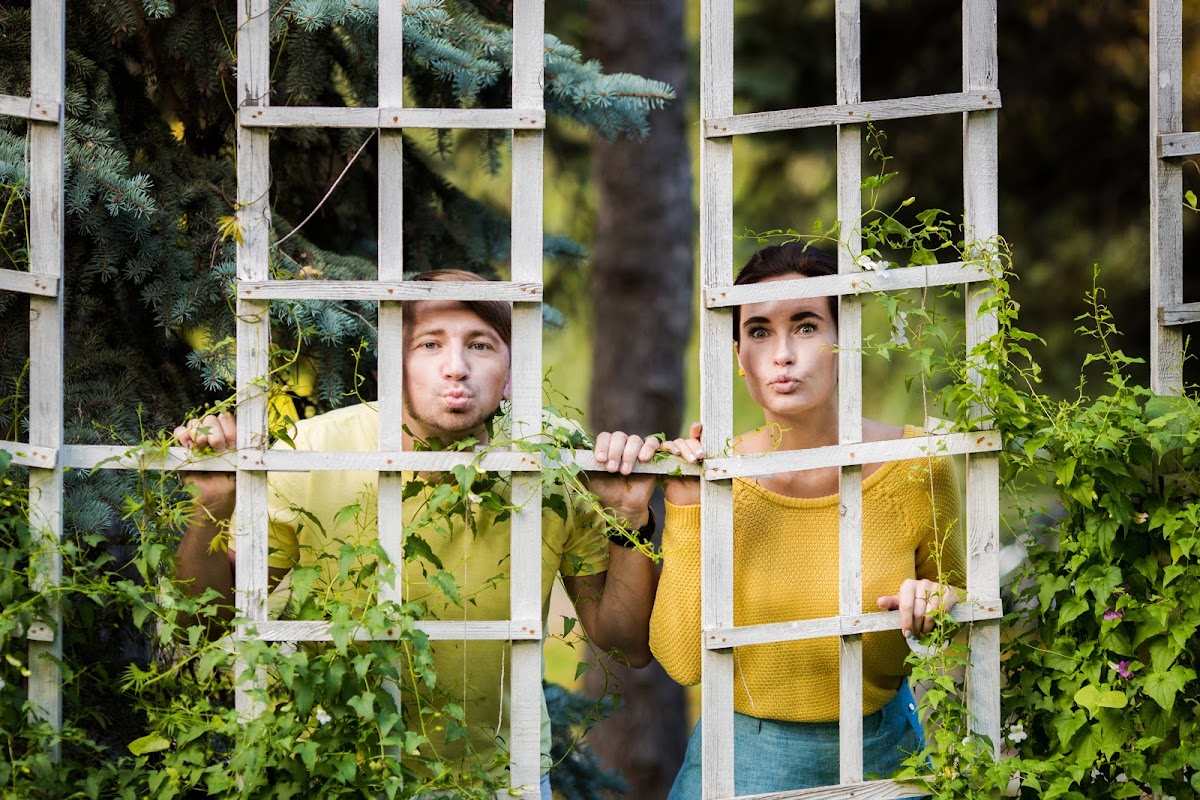 Фотографии