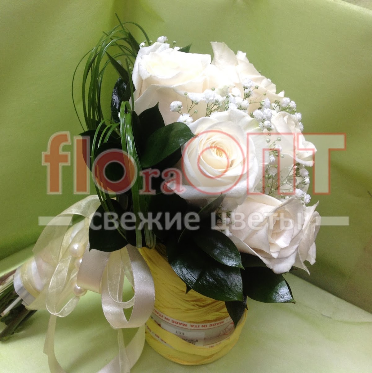 Фотографии