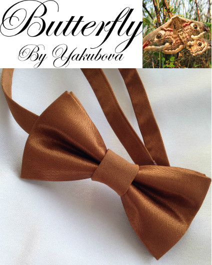 Портфолио
