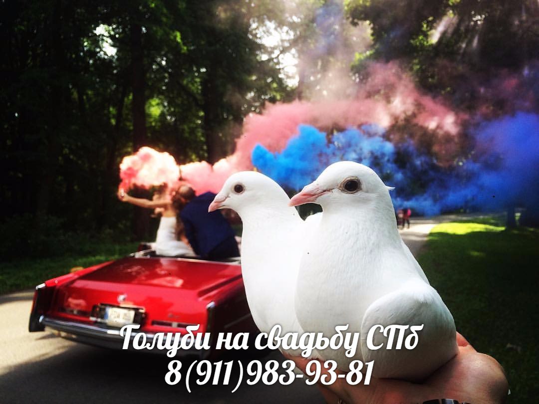 Кадр 38 из 63