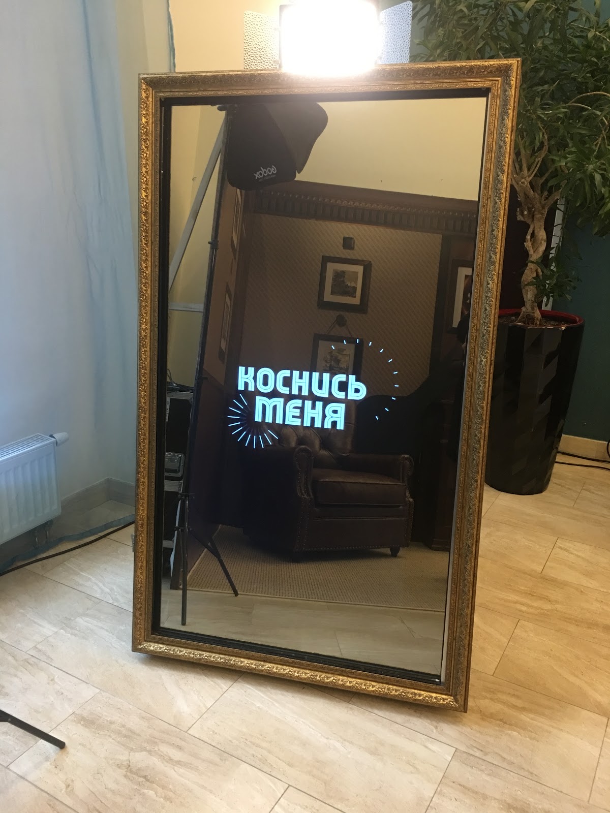 Фотографии