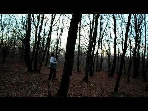 Кадр 54 из 61