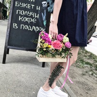 Портфолио