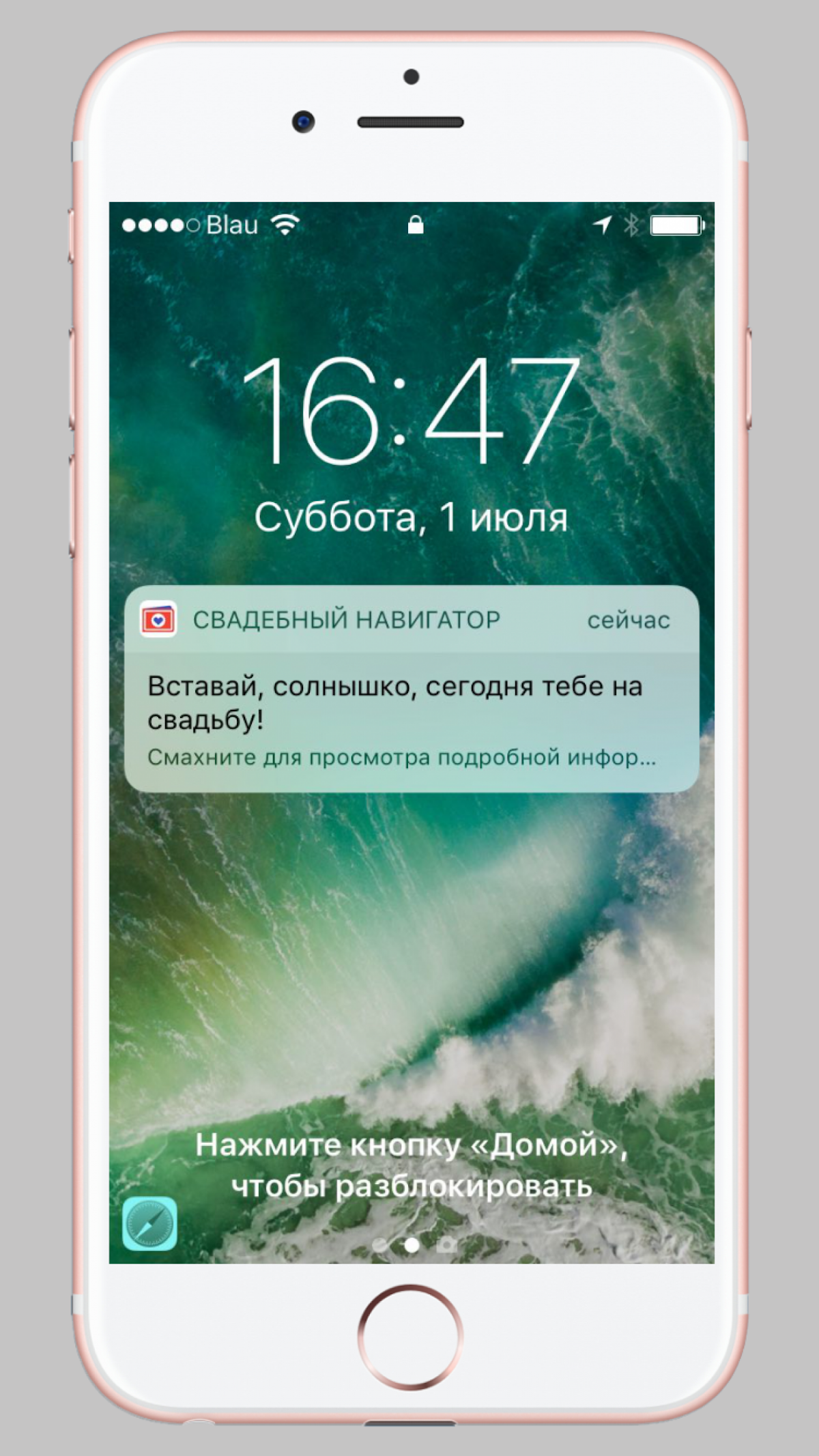 Свадебный навигатор