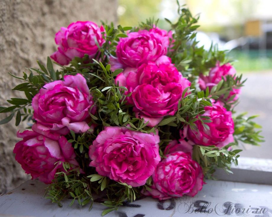 Bellofiori