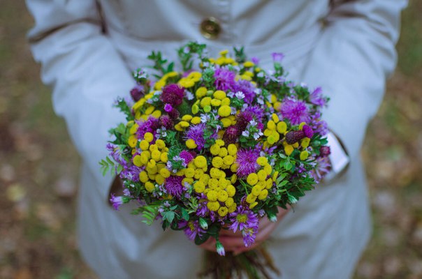 Little Pretty Things