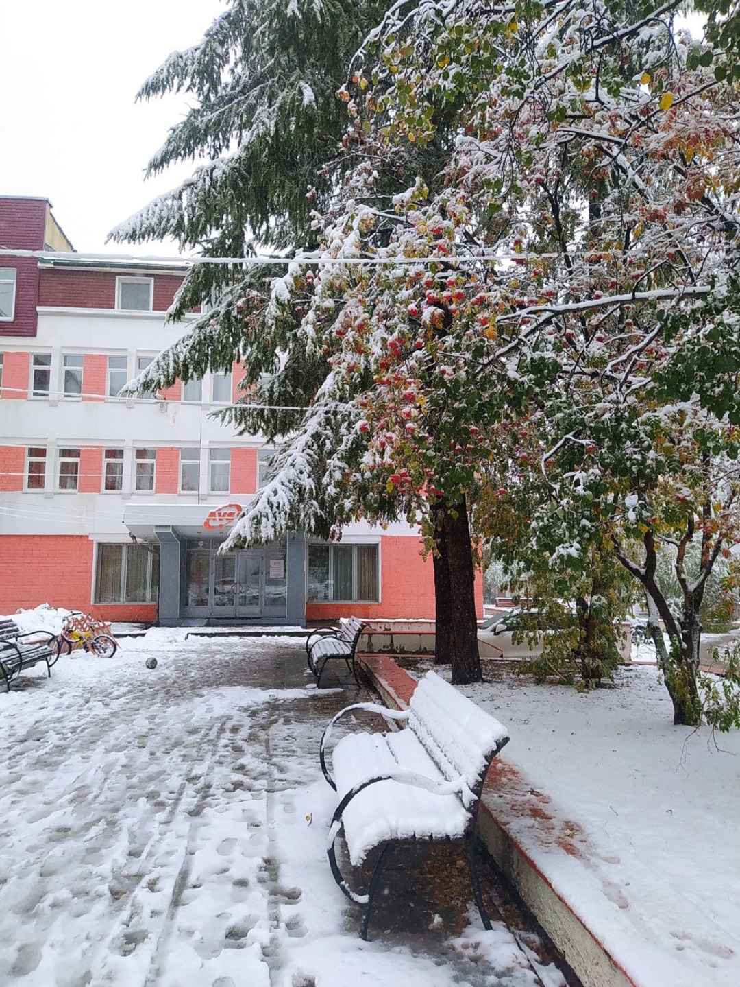 Территория