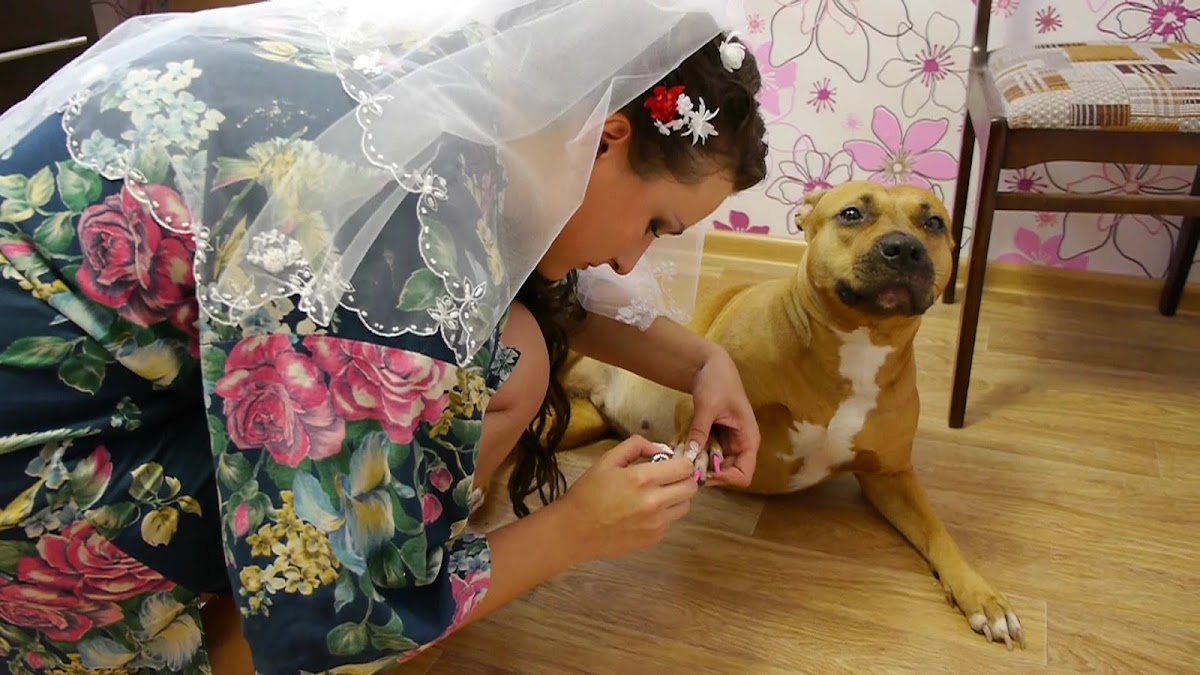 Александра и Виктор