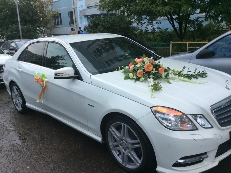 Елена Кузнецова