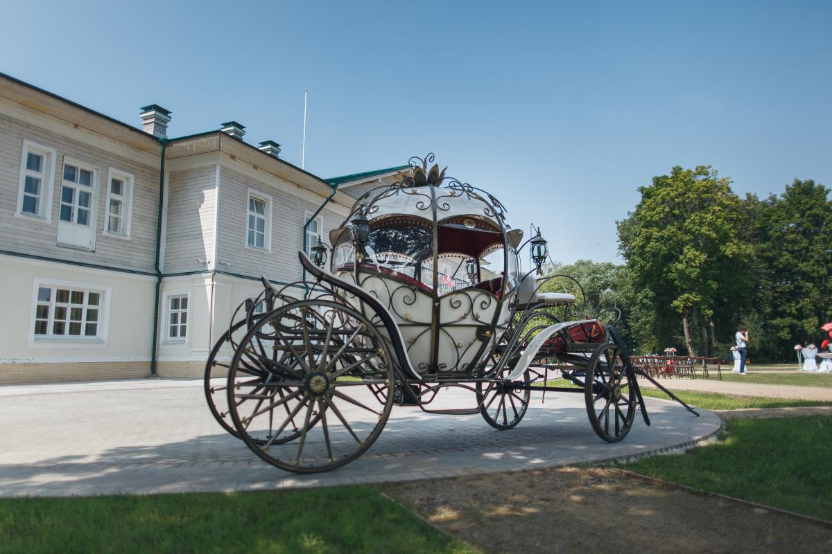 Елизавета и Никита