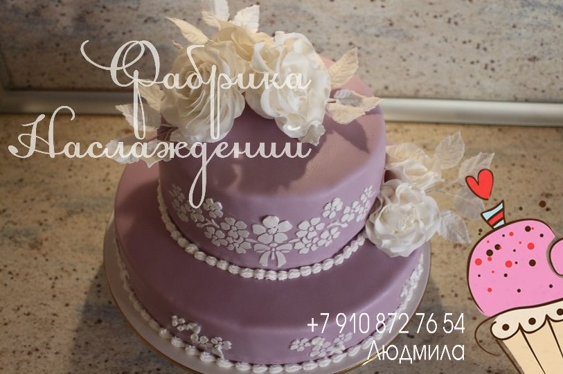 Портфолио