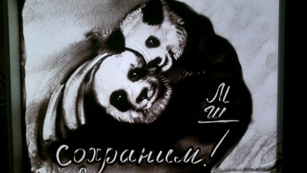 Портфолио