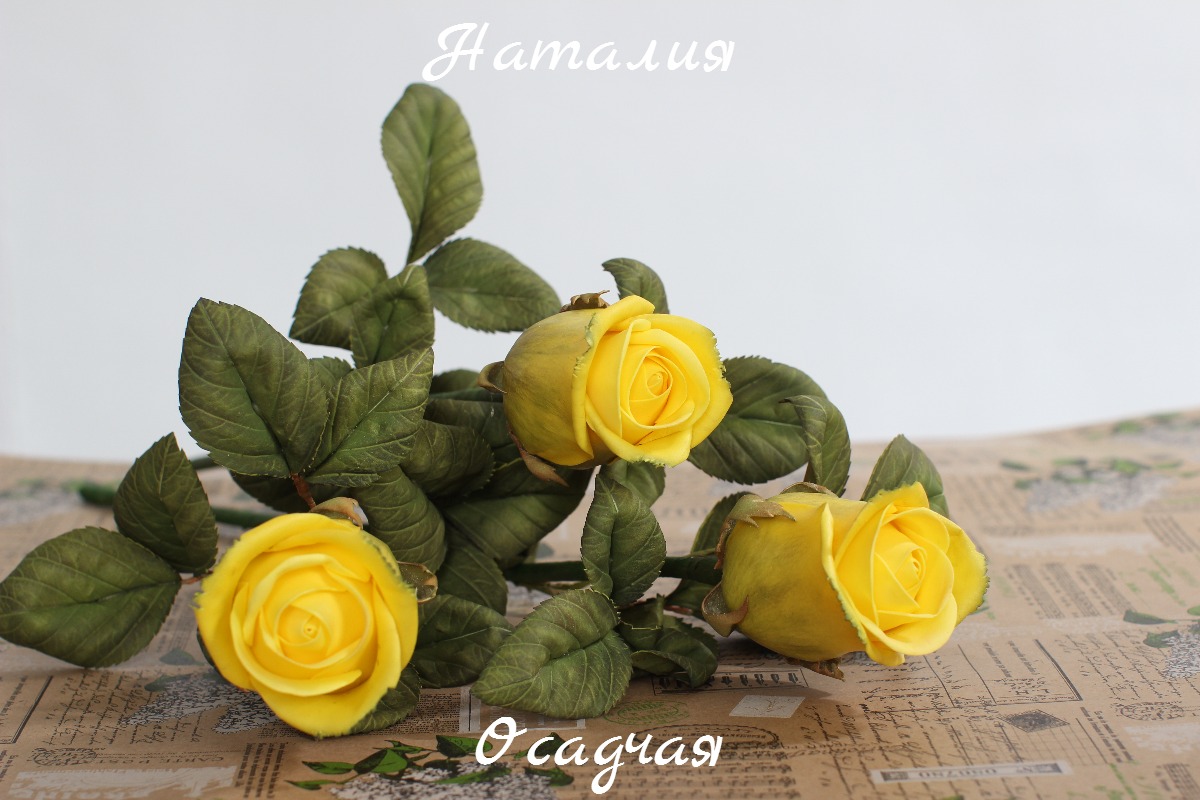 Кадр 38 из 103