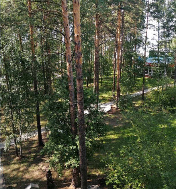 Фотогалерея ресторана