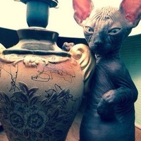 Алёна Андреева