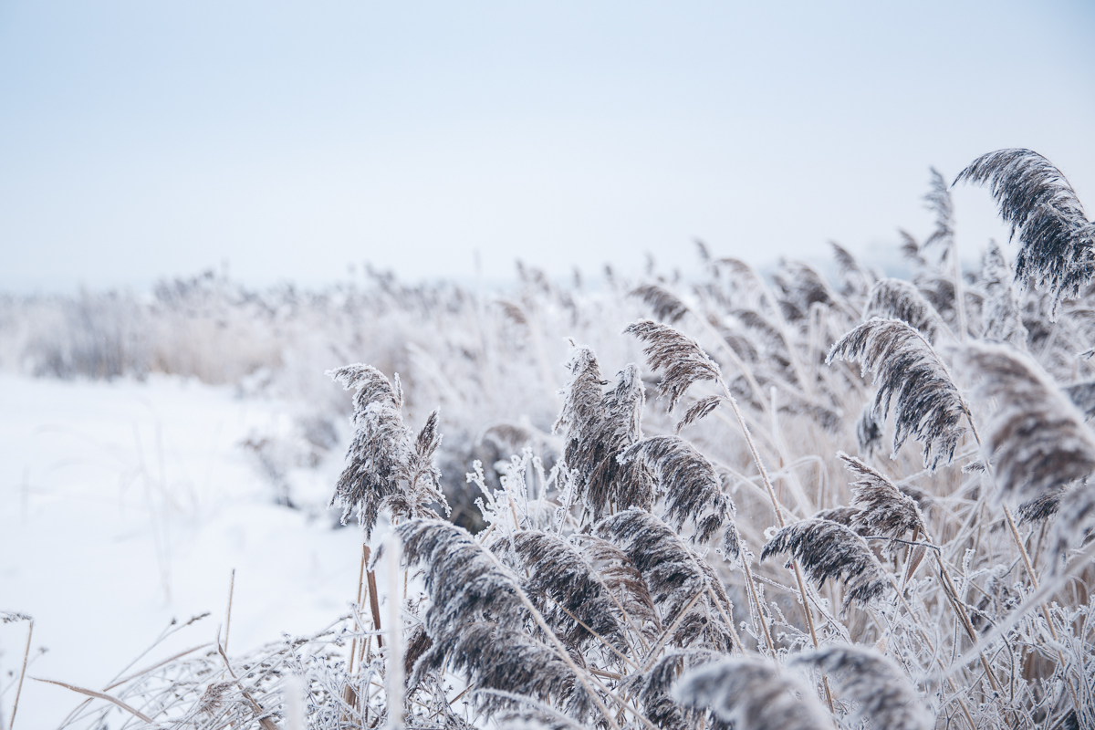 Winter Love Story
