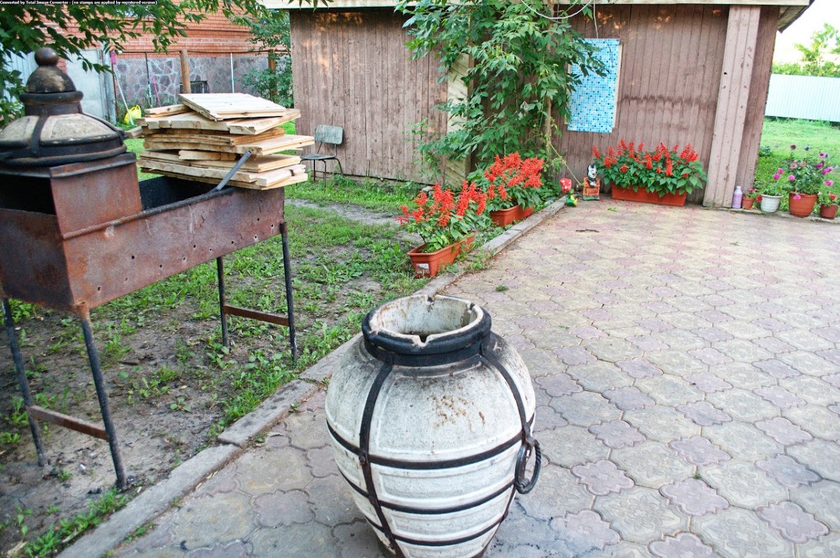 Фотографии