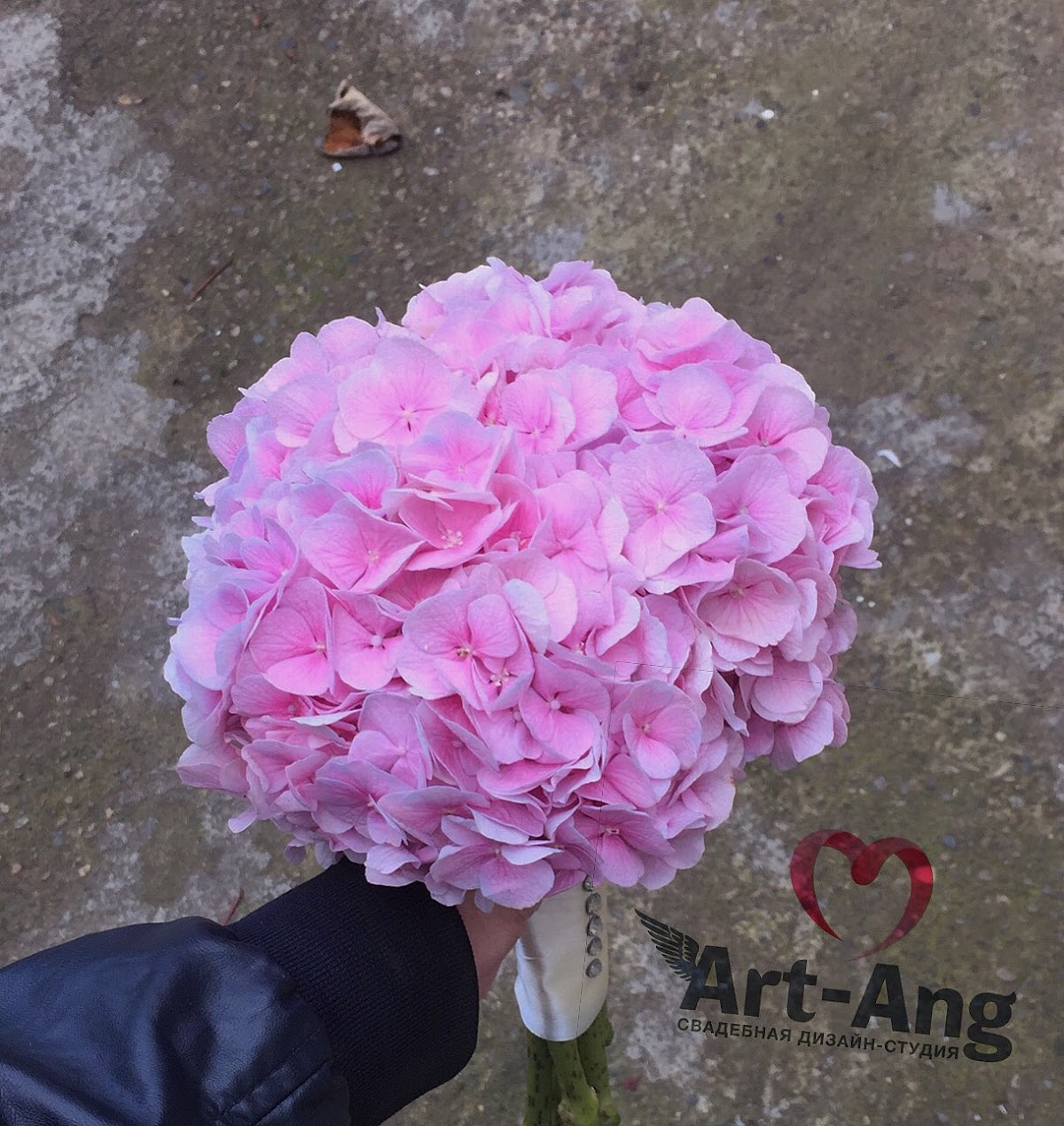 Art-Ang — кадр 5 из 300