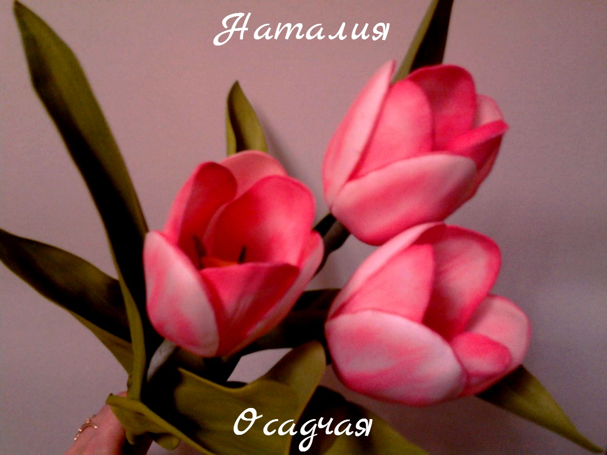 Кадр 62 из 103