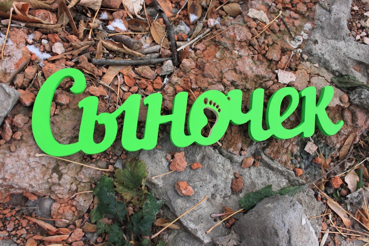 Портфолио
