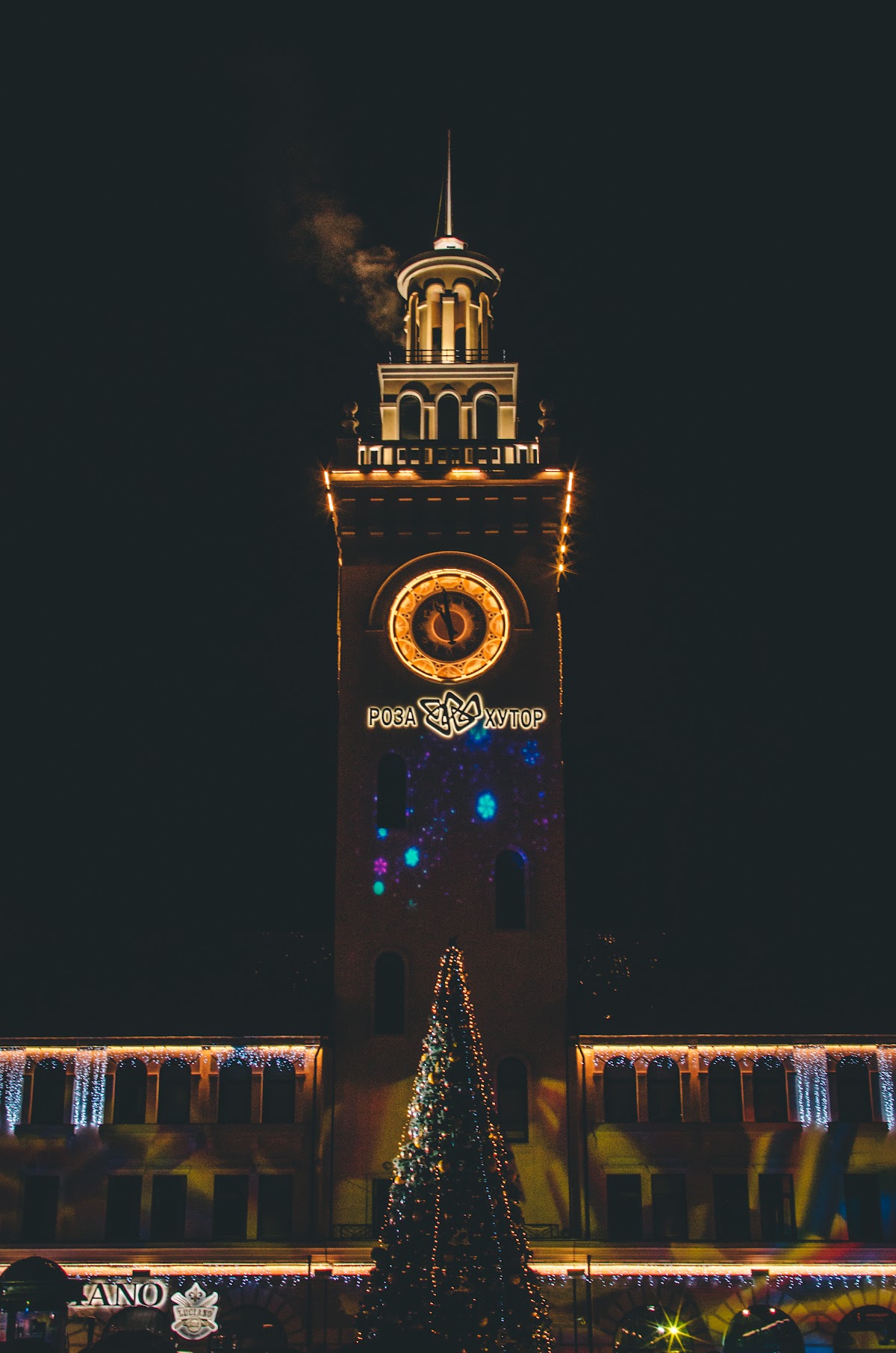 Портфолио: Свадьба