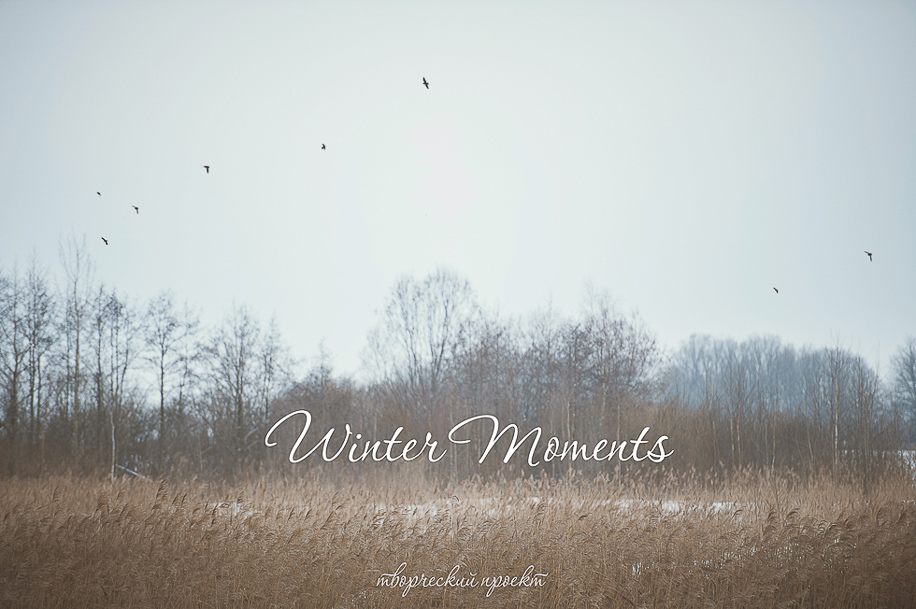 Творческий проект Winter Moments