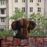 Юрий Федорив