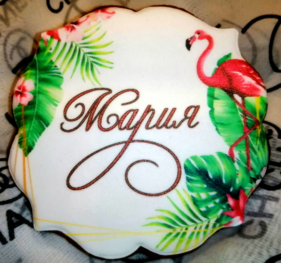 Портфолио