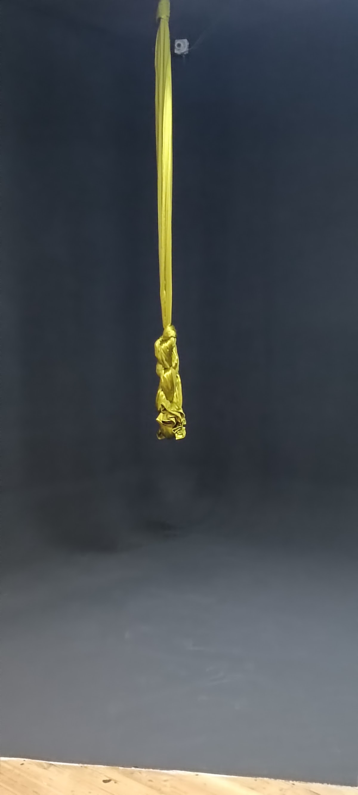 Fly