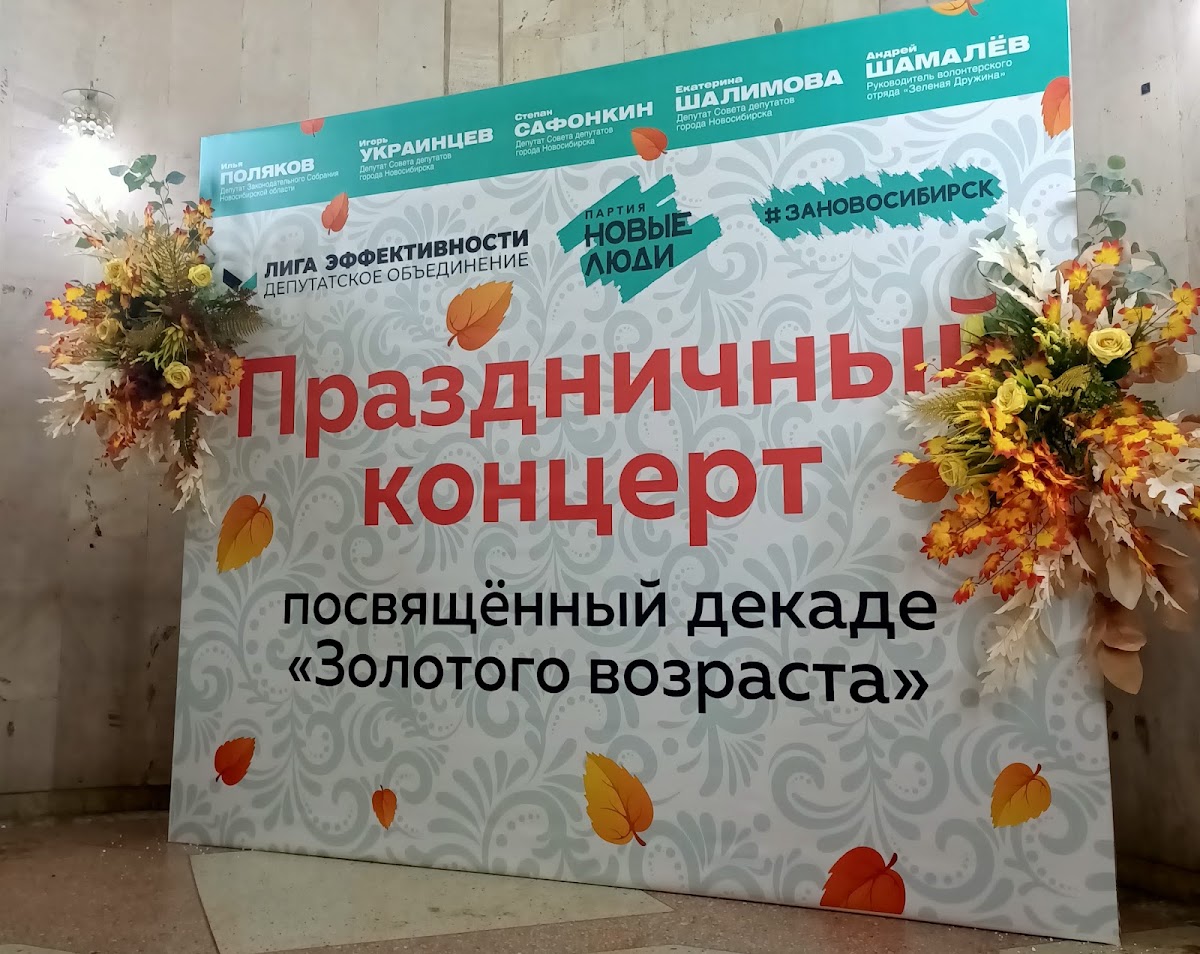 Фотозона из шаров