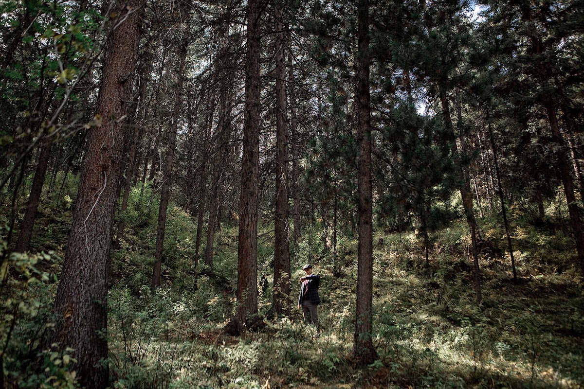София и Александр