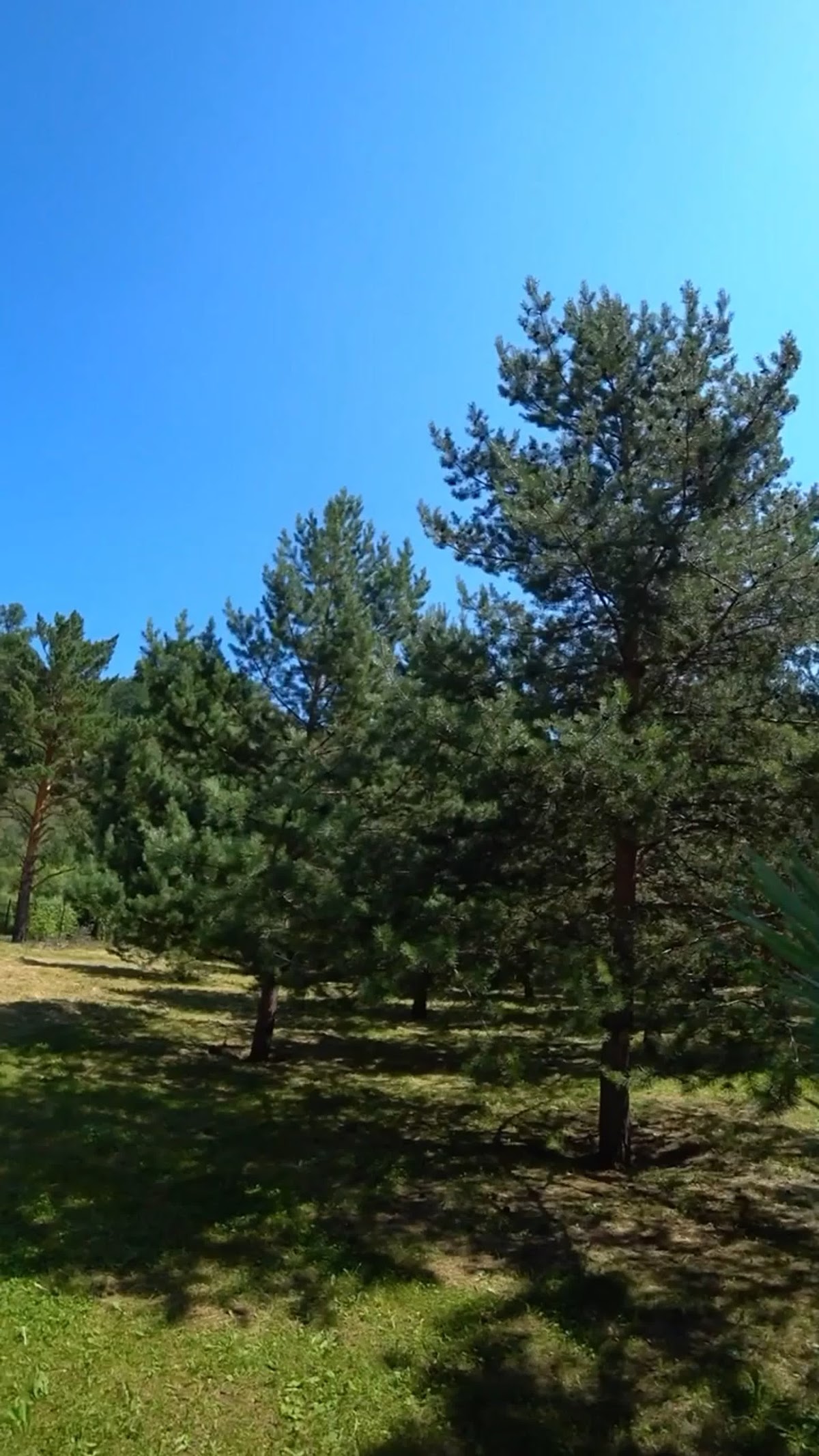 Кадр 40 из 76
