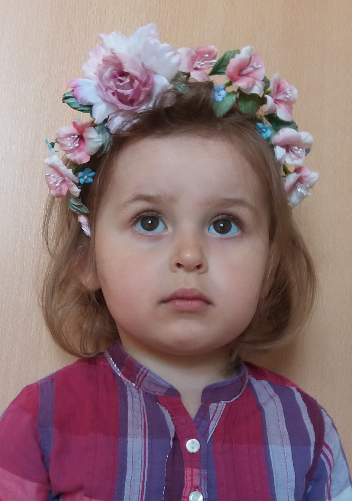 Евгения Шипицына