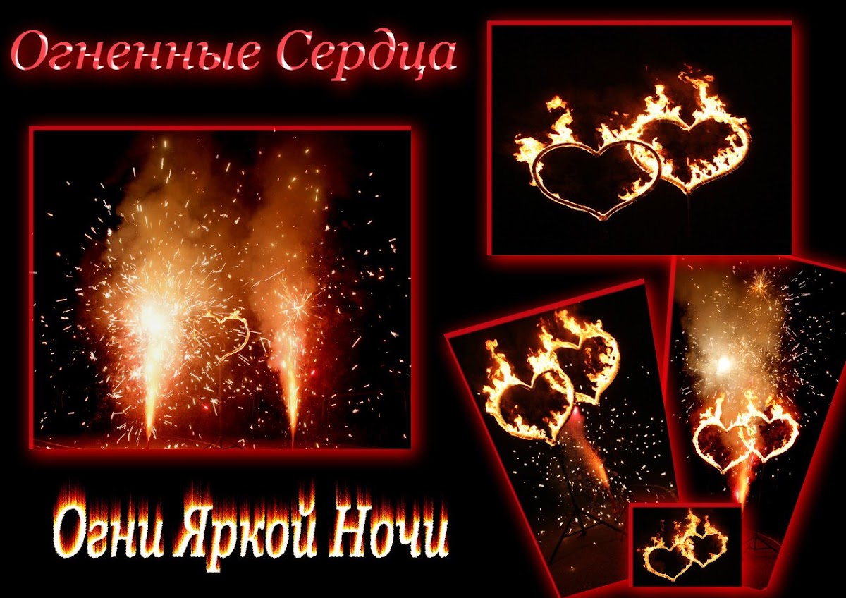 Портфолио: Свадьба