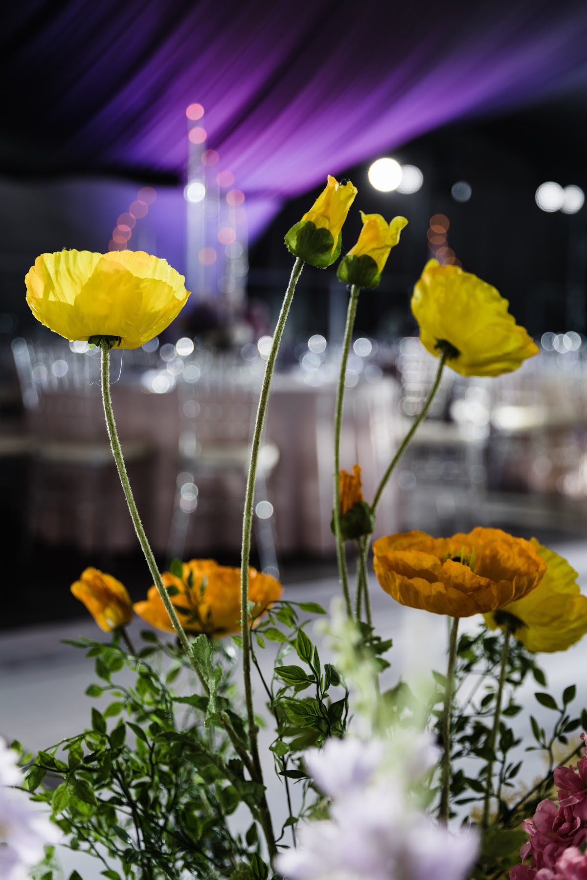 OSCAR Event Hall — кадр 3 из 1045