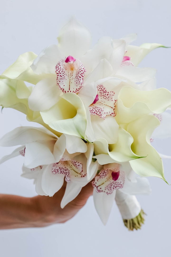 Студия флористики Jardinelli by Jardin Studio