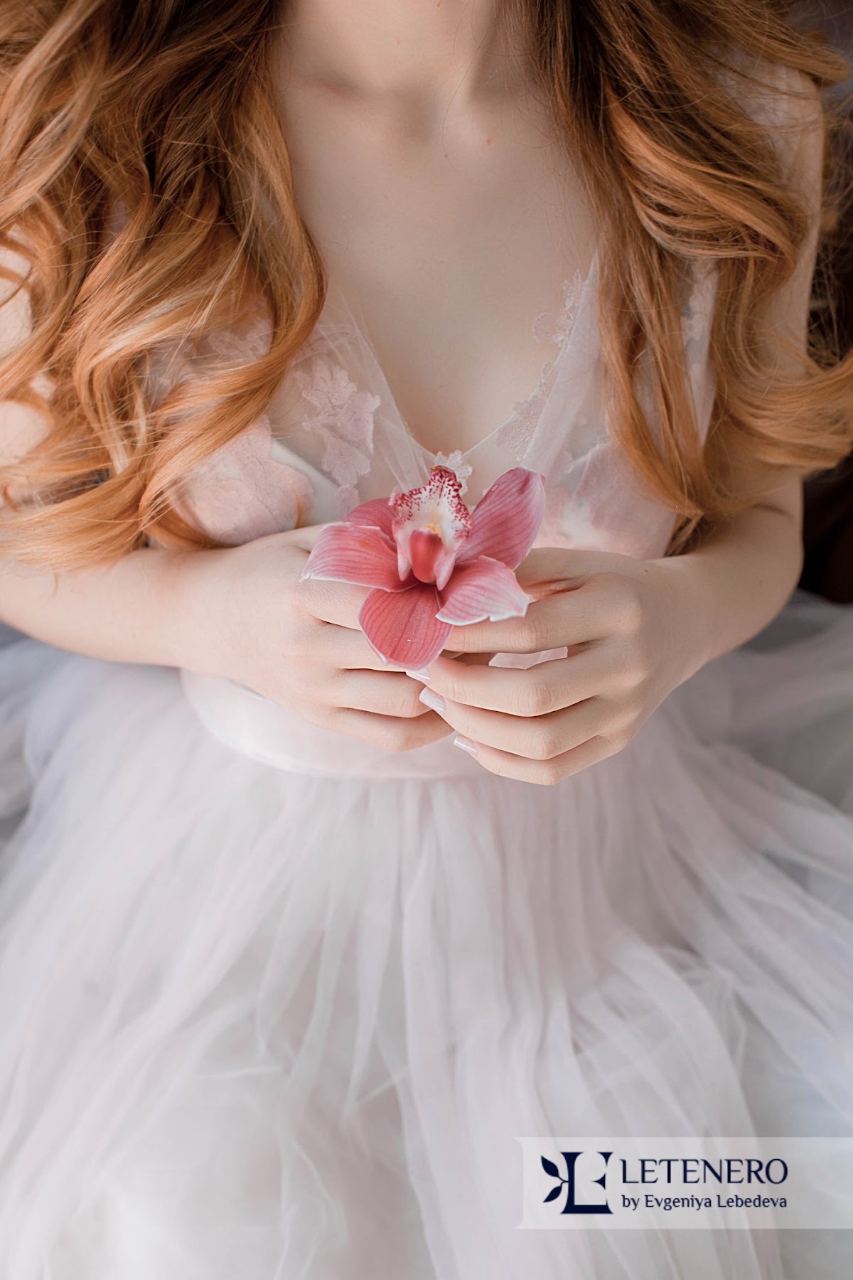 Фотографии