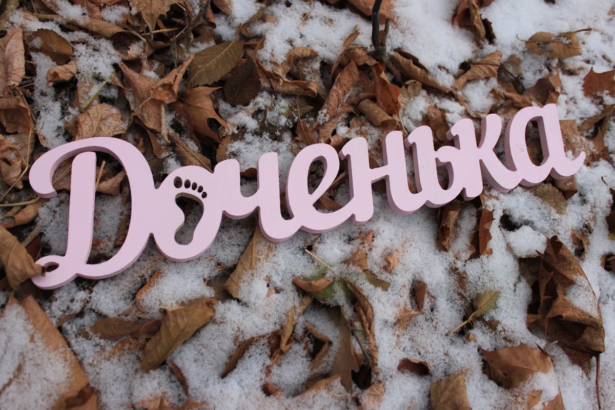 Портфолио
