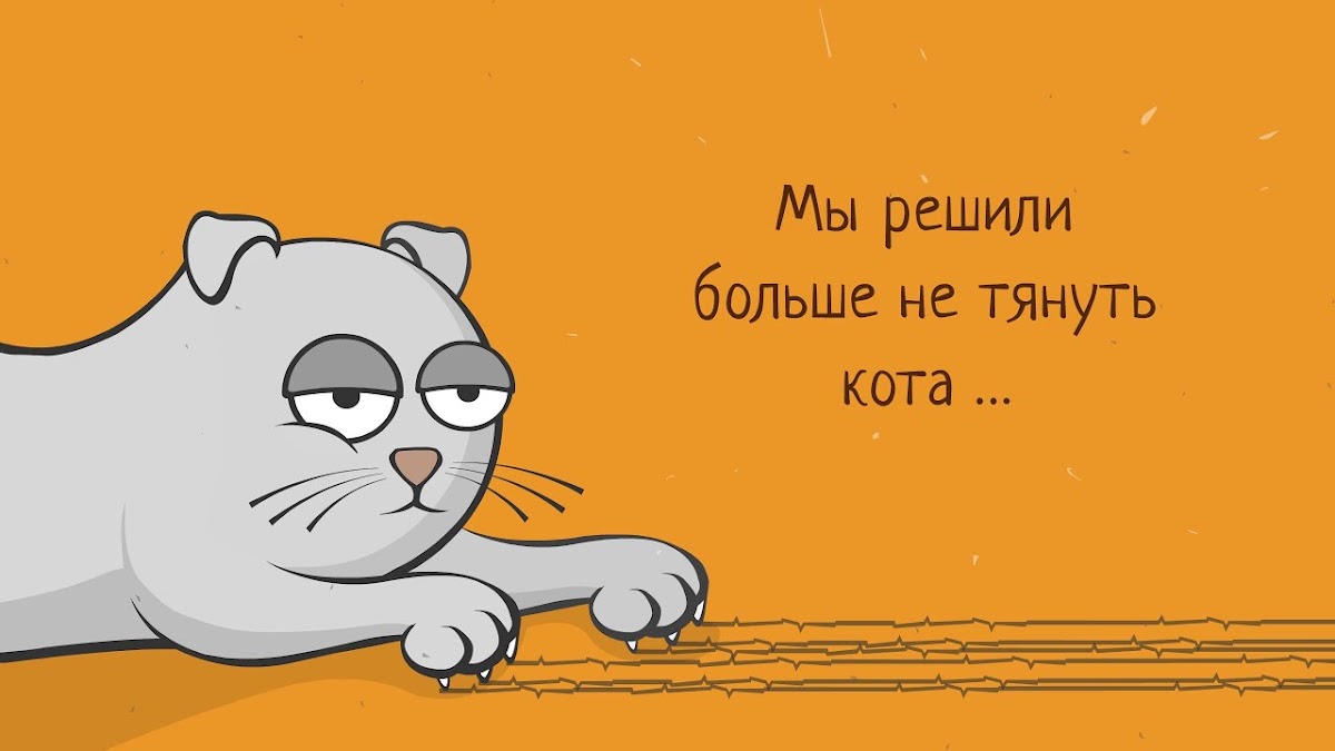 Портфолио