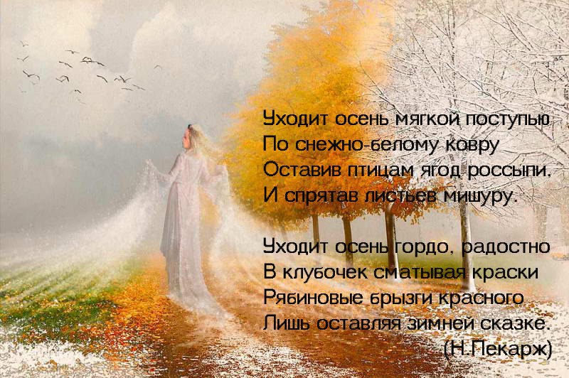 Стихи наглядно
