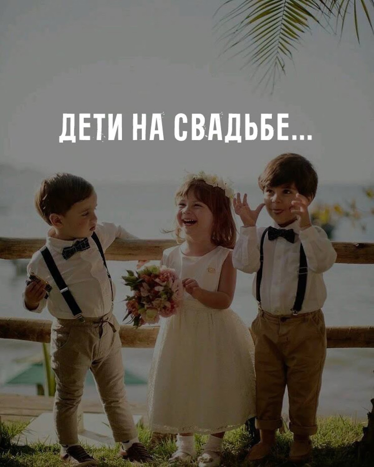 Всё о свадьбах