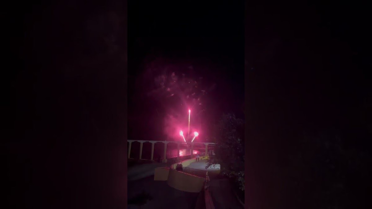 Pyro Studio — кадр 2 из 99