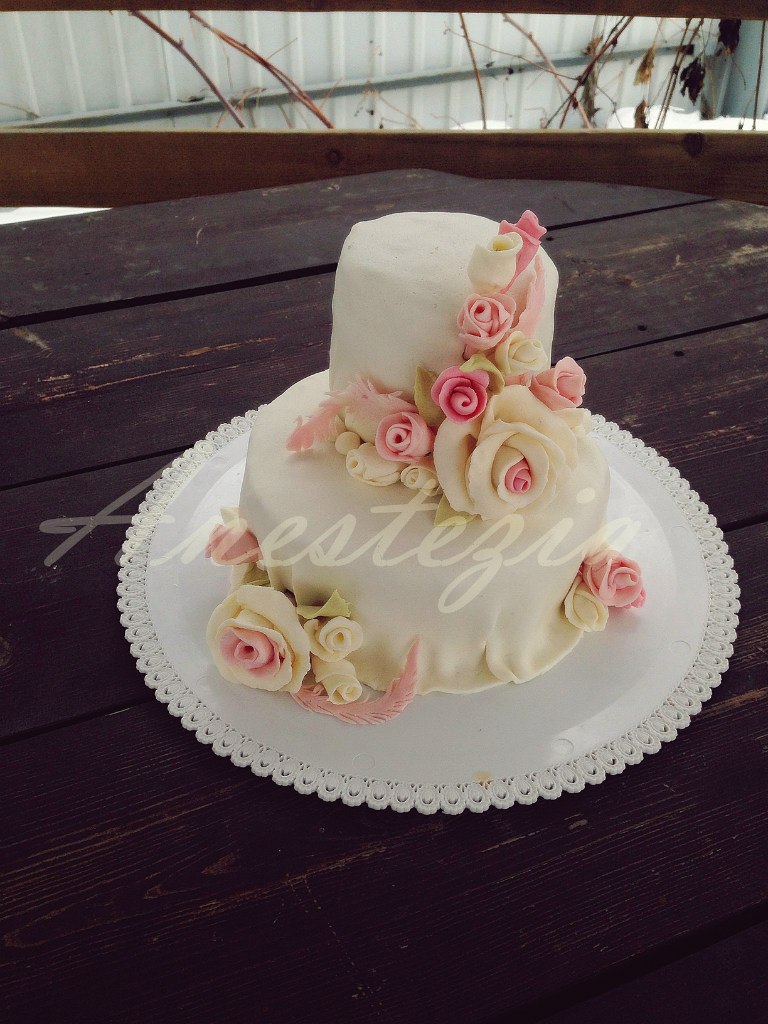 Anesteziacake — кадр 3 из 15