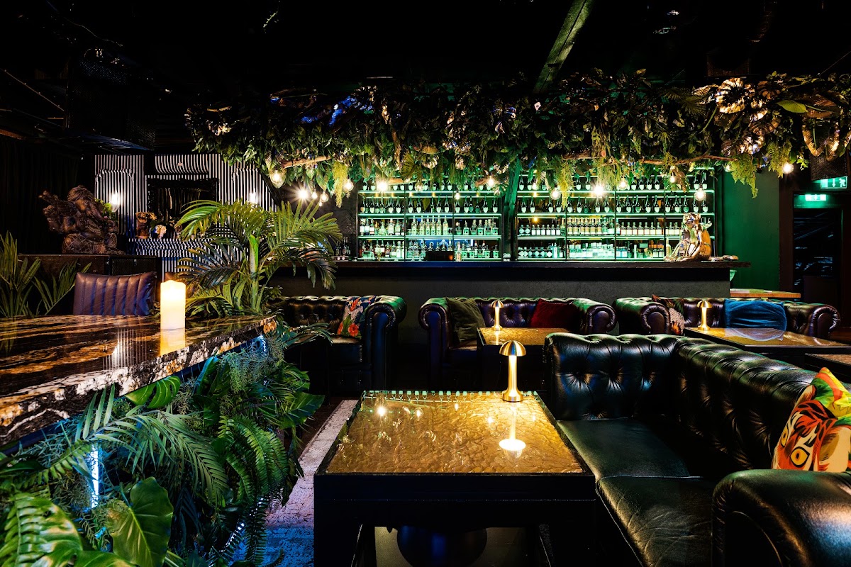 Monkey Lounge & Bar
