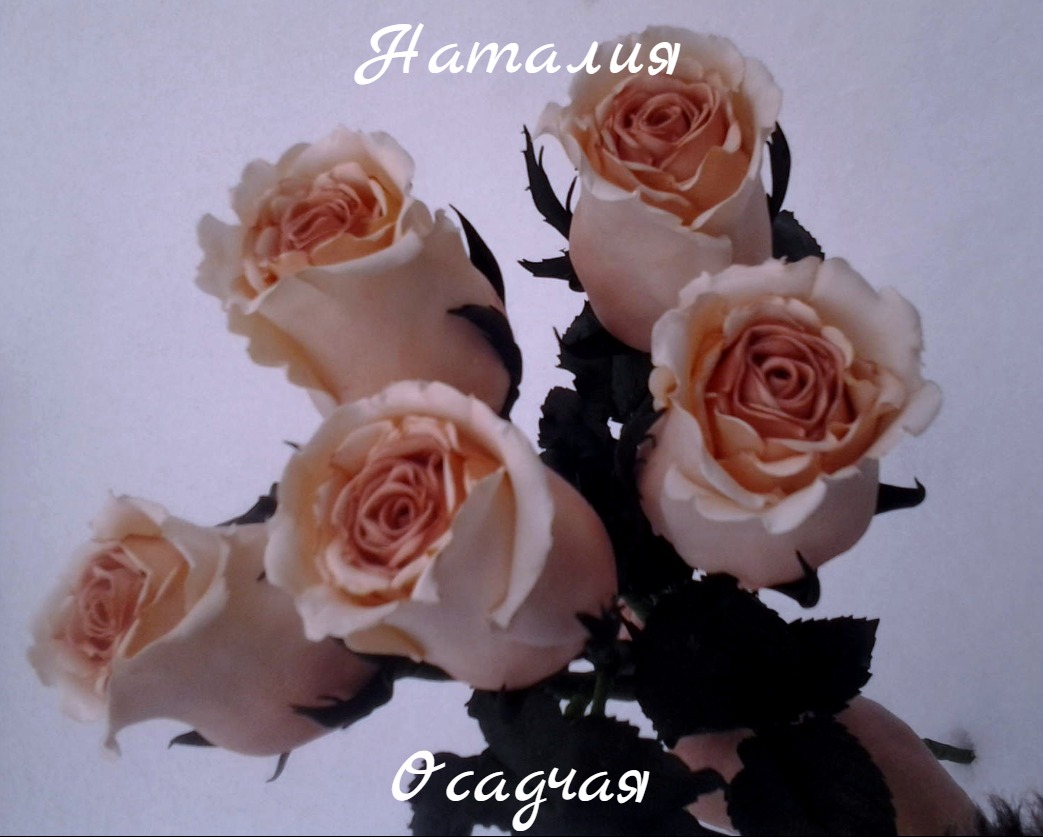 Кадр 66 из 103
