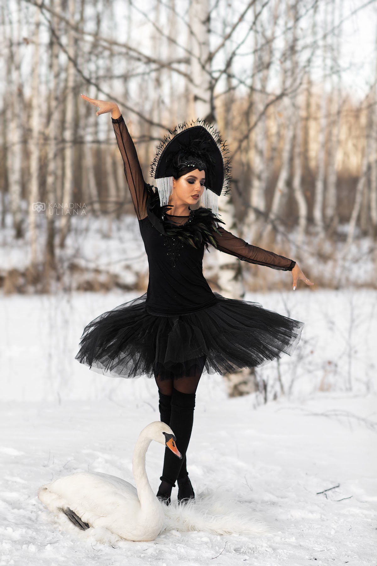 Портфолио: Животные