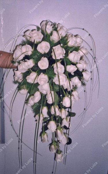 Портфолио