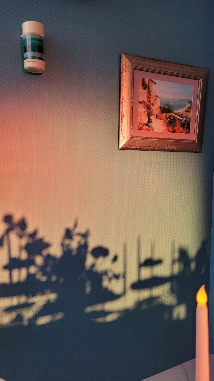 Свадьба в стиле Wes Anderson
